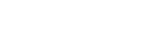 Bayview Strategies